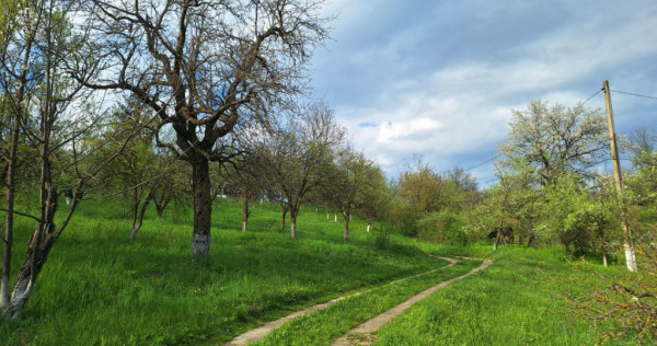 Moșia boierească din v&acirc;rf de deal, Scorțeni - Prahova, c