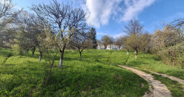 Moșia boierească din v&acirc;rf de deal, Scorțeni - Prahova, c