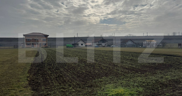 Teren intravilan 1.600 mp | Vințu de Jos | Deschidere ~20 m