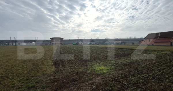Teren intravilan 1.600 mp | Vințu de Jos