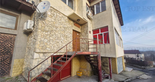 Vila unica de cu destinatie de locuinta si spatii comercial