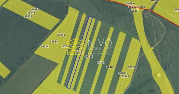 Teren extravilan &ndash; Sg. de Mureș