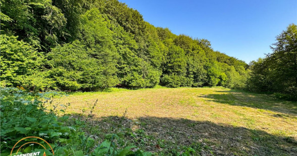 FILM! Teren extravilan pe 2.737mp,zona pretioasa,acces facil