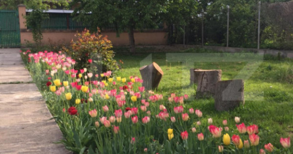 Oază de Liniște &icirc;n Inima Orașului: Proprietate Exclusivi