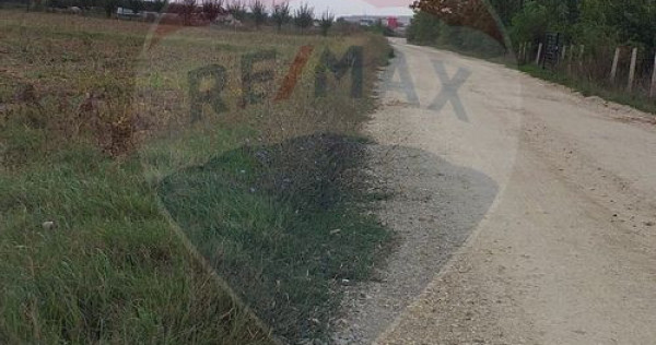 Teren extravilan 3000mp de v&acirc;nzare la S&acirc;ntion