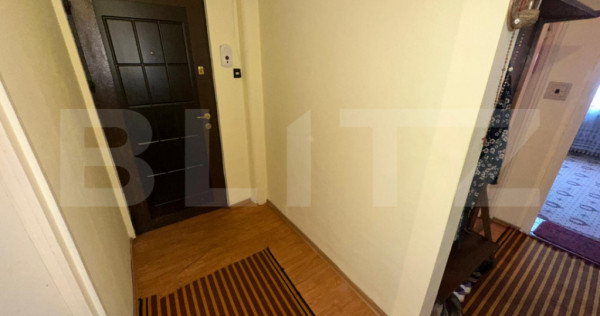 Apartament 3 camere, parter &icirc;nalt, ideal firma/birouri - DE