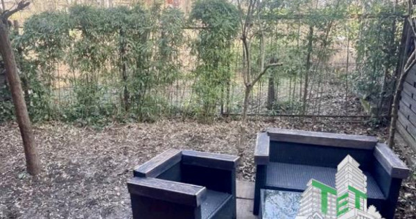 Vila cu 7 camere de &icirc;nchiriat &icirc;n Floreasca