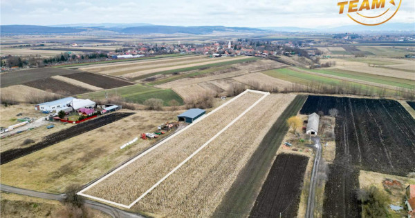 Film! Teren de 5.800 mp, Dobolii de Jos, Covasna