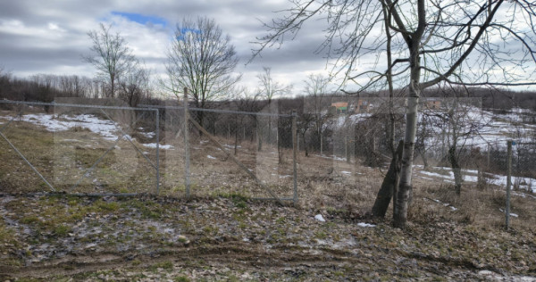 TEREN CU POTENTIAL DEOSEBIT GAGENI