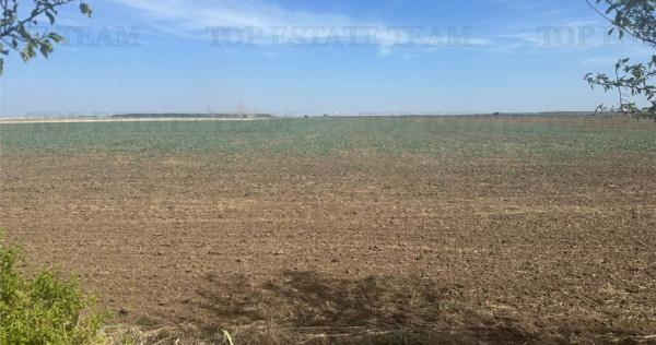 Teren intravilan construibil, Branesti-Ilfov, 5000 mp, idea