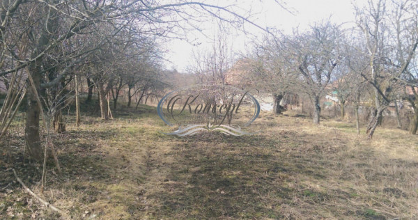 Teren pentru casa sau duplex in sat Gheorgheni