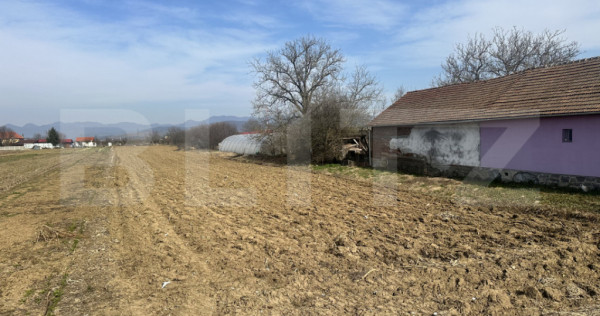 TEREN INTRAVILAN, 4550 MP, CU FRONT LA DN 7 SANTUHALM