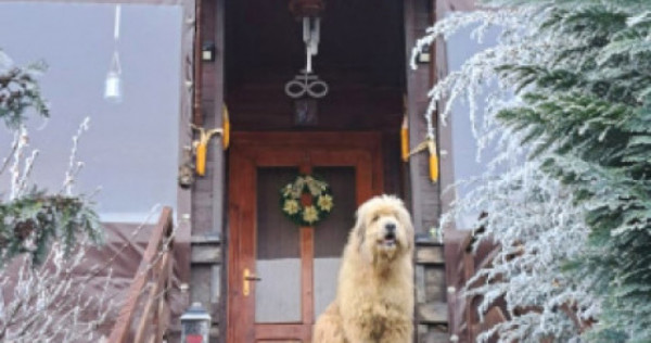 Casa individuala si teren zona Sibiel