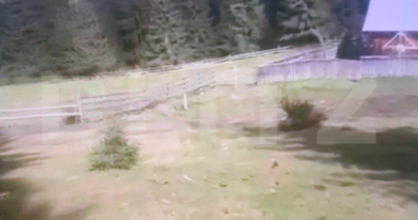 Teren &icirc;n comuna Panaci, 15000 mp, oportuintate unica de inv