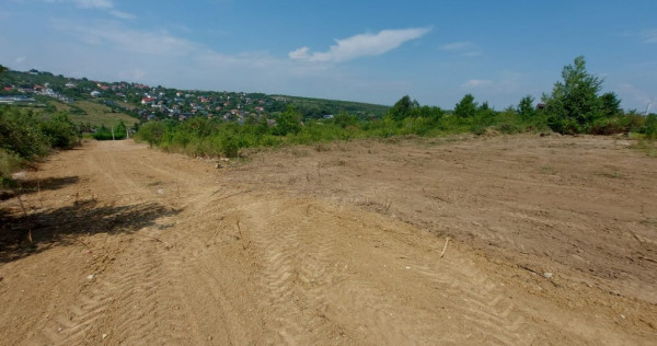 Teren intravilan , Bucium Barnova