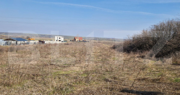 Teren intravilan, 15256 mp, deschidere bilaterala, zona Roba