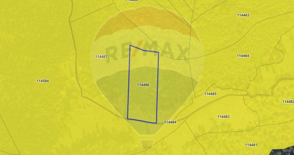 COMISION 0% | Teren 23.000 mp | Extravilan | R&acirc;snov - P?...