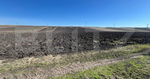 Teren de 26000mp cu potențial pentru investiții &icirc;n Bonți