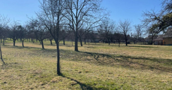 Teren 50 ari &icirc;n Satu Nou de Sus &ndash; utilități la teren, p