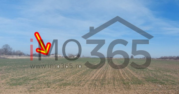 Teren intravilan Parvu Rosu 990 mp