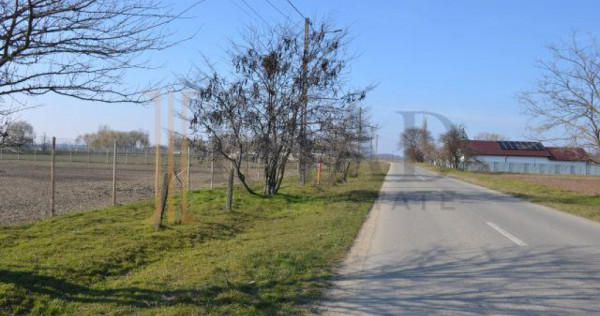 Teren intravilan, 5600 mp in Mircea Voda - Dambovita.