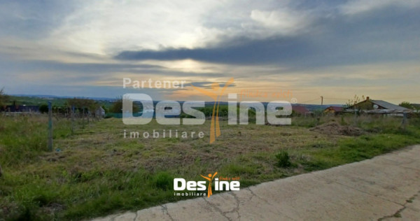 B&acirc;rnova - Teren Intravilan 974 Mp, utilitati, drum betonat