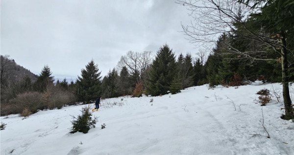 Teren superb extravilan in apropiere de Poiana Brasov