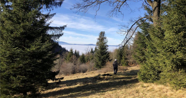 Teren superb extravilan in apropiere de Poiana Brasov