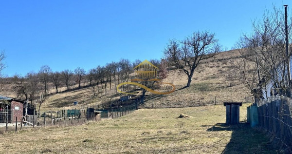 Teren Intravilan Luncani Bacau