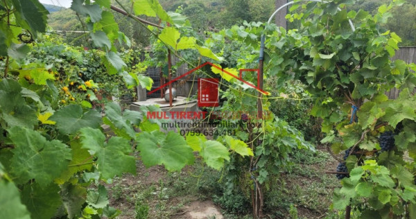 Casa in Telita cu vedere spre padure!