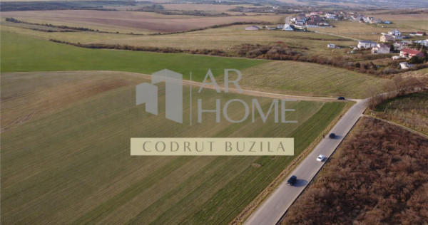 Teren intravilan 2500mp, Bucov