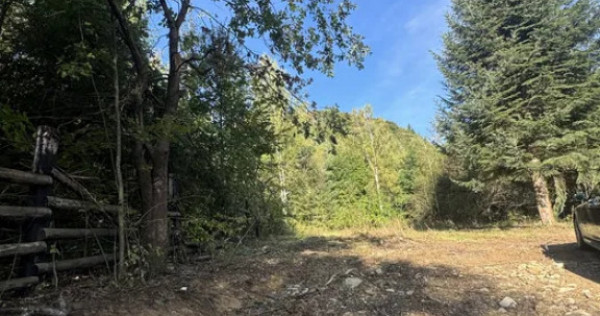 Teren , platou drept, 6000mp , Sucevita