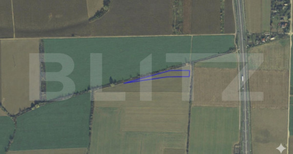 Teren de v&acirc;nzare, 3260 mp, zona Careiului