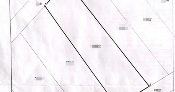 Terern intravilan, 725 mp, zona Popasul lui Radu - Bradesti