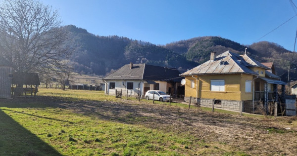 Casa de vanzare P+D+constructii anexe