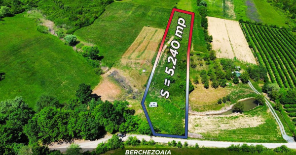 Teren cu panorama superba in Berchezoaia + bonus rulota