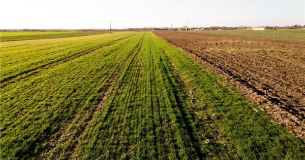 RECO teren 5000mp cu deschidere la DN19 Tamaseu