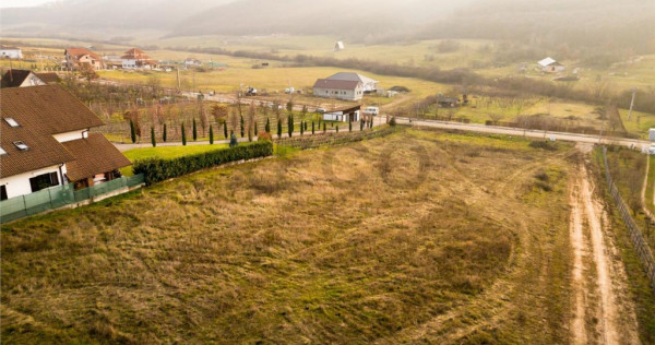 RECO Teren intravilan langa padure- PUZ aprobat -Betfia