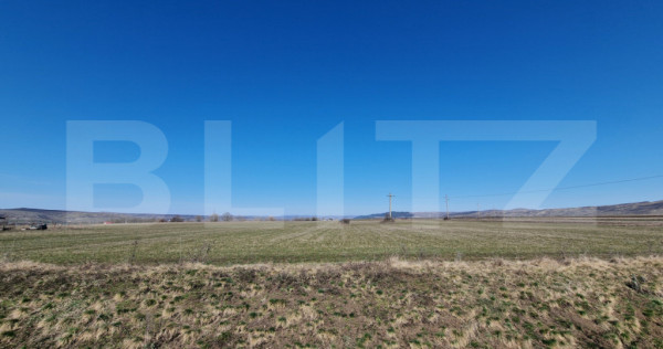 Teren intravilan, 29.000mp, front 102mp, utilitati in zona,