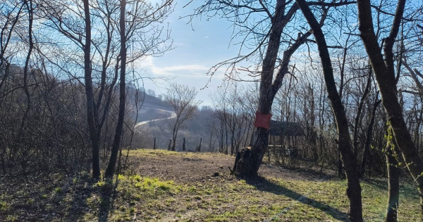 Teren cu vita de vie comuna Cristian judetul Sibiu 500mp