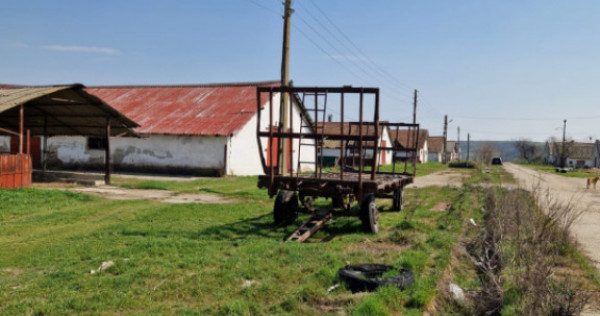 Fermă de v&acirc;nzare 8 ha &ndash; Balș, județul Olt