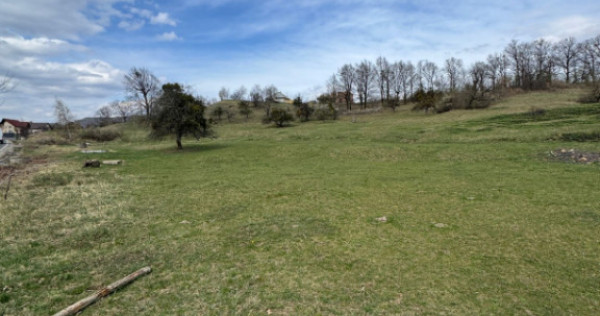 Teren intravilan 1.17ha cu panoramă superbă și PUZ aproba