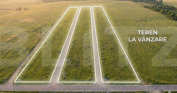 Teren Moșnița Nouă, 5000 mp
