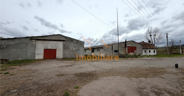 HALE INDUSTRIALE | CLADIRE BIROURI | TEREN 7000 MP | GHEGHIE