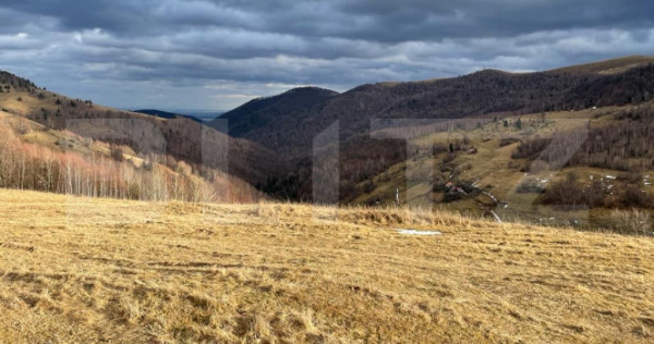 Teren Construibil - Muntele Baisorii , 5000mp - cu posibilit