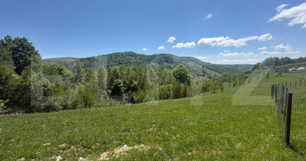 Teren Construibil - Muntele Baisorii , 5000mp - cu posibilit