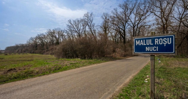 NUCI - BALTA NEAGRA, LOT 3900 MP, LA PADURE!