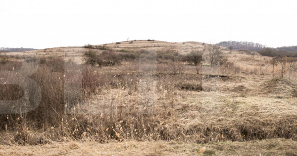 Teren 7088 mp &icirc;n Borhanci &ndash; achiziție integrală sau sep