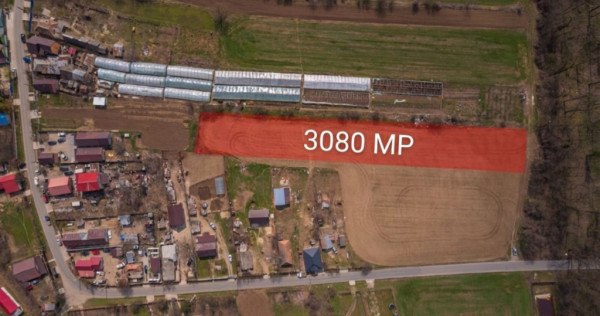 NUCI - BALTA NEAGRA, LOT 3080 MP, LA PADURE!