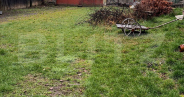 Teren de vanzare Nazna